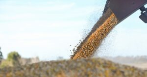 El Gobierno eliminó el RUCA y Sturzenegger avanza en la simplificación administrativa del sector agropecuario