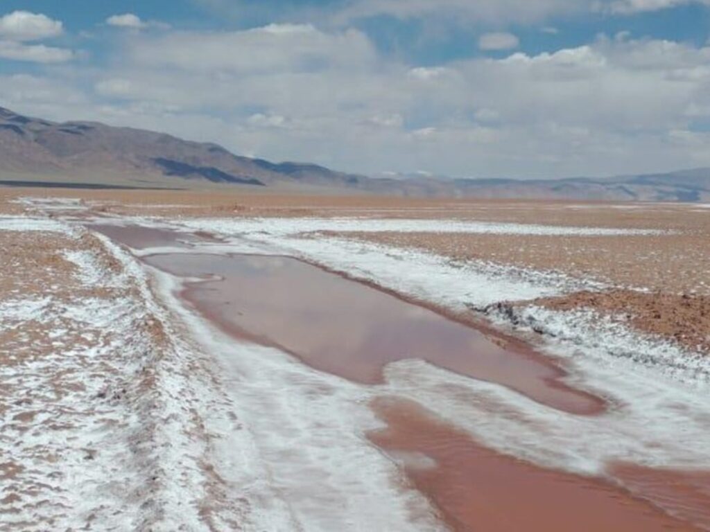Expansión minera en Salta: gigante canadiense adquiere proyecto de litio y despierta interés gubernamental