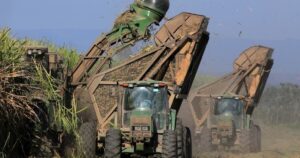 fue el que más creció de la agroindustria