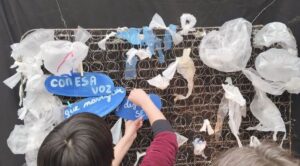 8vo Festival de Arte para chicas, chicos y adolescentes “Viento Empapa”, Homenaje a Elsa Bornemann