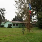 Revitalización del mapuzugun a través de los jardines mapuche en la Araucanía.