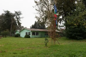 Jardines mapuche impulsan la revitalización del mapuzugun en la Araucanía