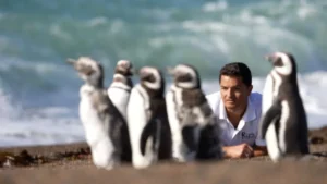 Se estrena a nivel nacional "El Señor de los Pingüinos", el documental dirigido por el chubutense Damián Martínez