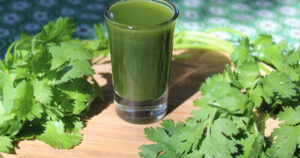 Cuales son las efectos antioxidantes y digestivos del cilantro