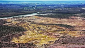 Impactante hallazgo: animales muertos generan indignación en la comunidad
