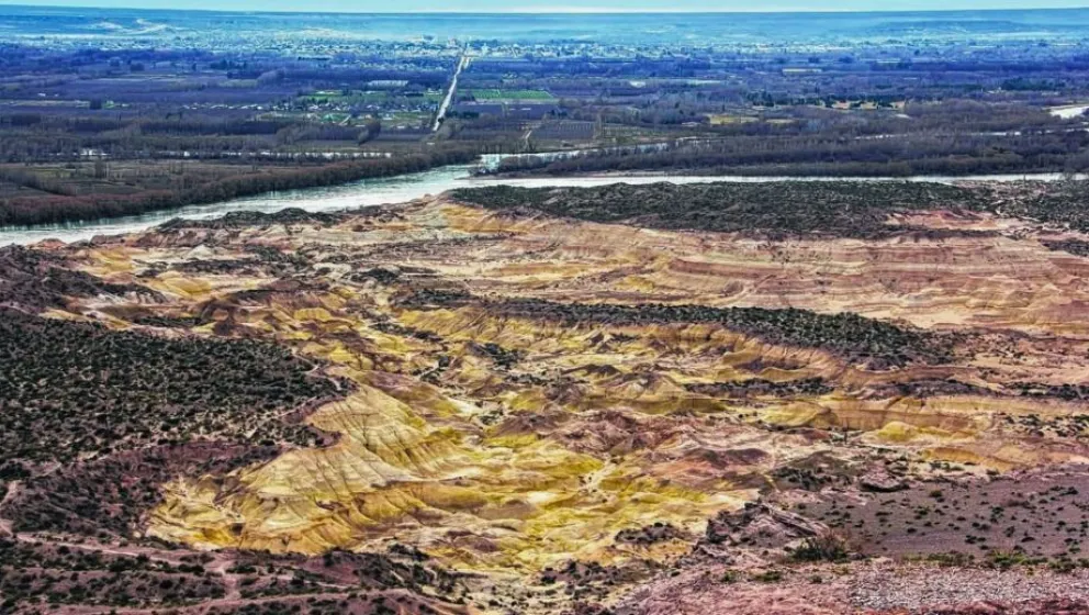 Impactante hallazgo: animales muertos generan indignación en la comunidad
