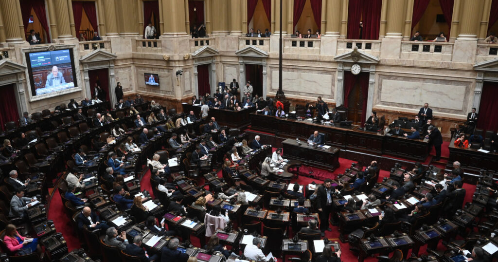 Javier Milei y sus medidas, EN VIVO: tras los vetos al financiamiento universitario y el Garrahan, preparan una sesión especial en el Congreso para voltearlos