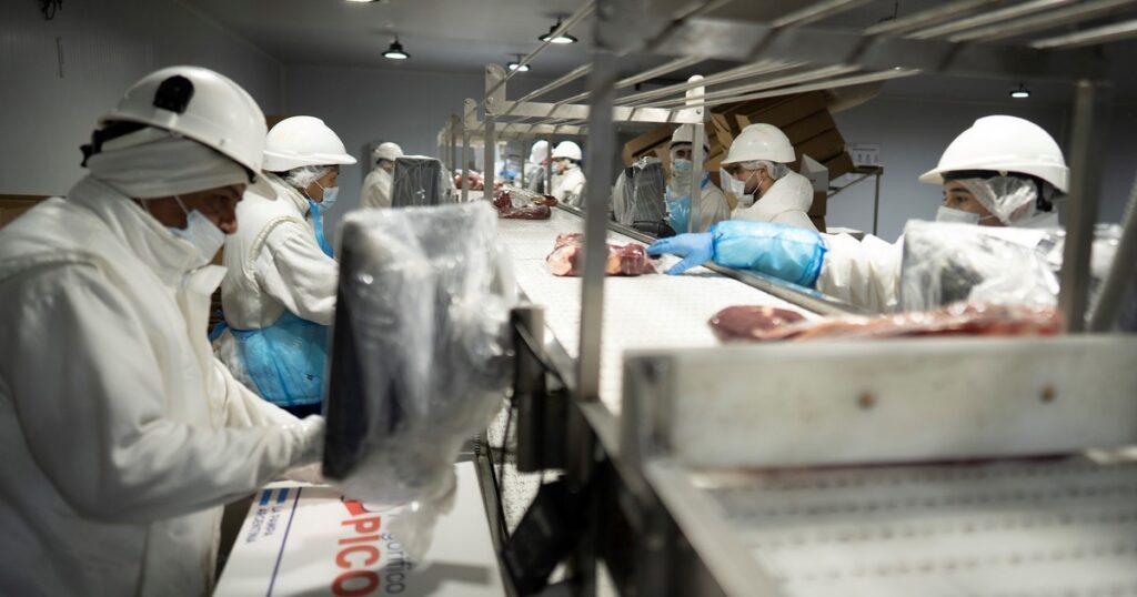 las diez claves del proyecto que impulsa Javier Milei