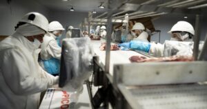 las diez claves del proyecto que impulsa Javier Milei