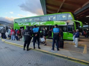 Detectaron cannabis oculto dentro de una lata de cerveza y aceite casero sin autorización