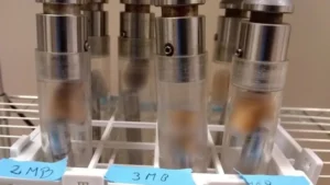 CONICET: hallan huella genética propia de 8.500 años en Argentina