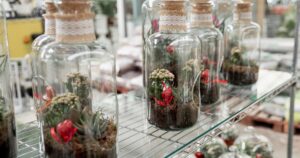 5 ideas creativas para hacer macetas y jardineras caseras