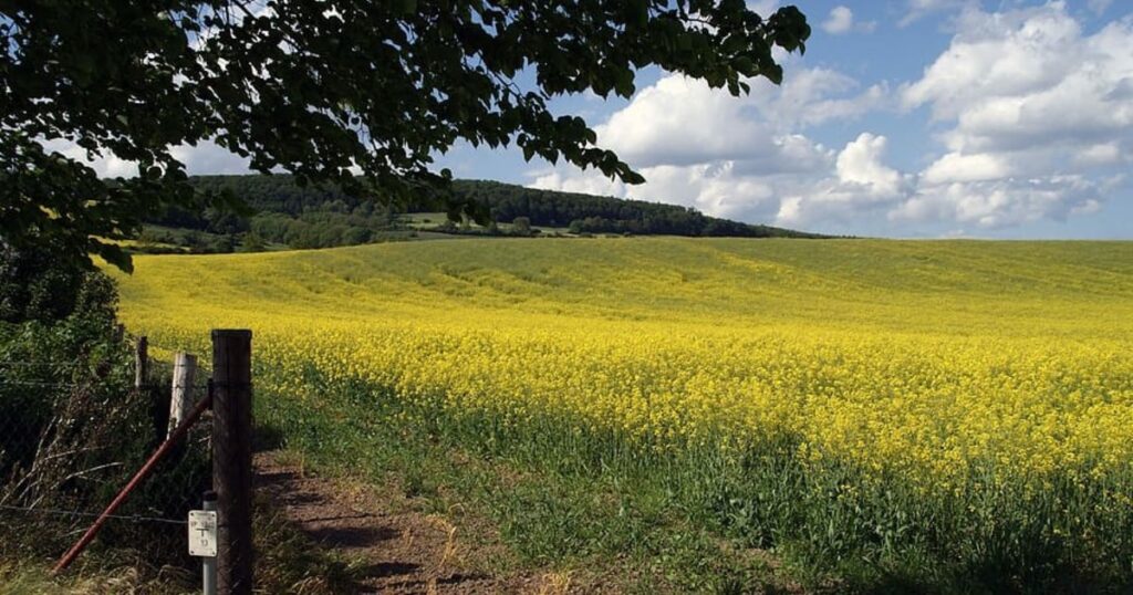 Cómo hacer la transición hacia una "agricultura de paisajes"