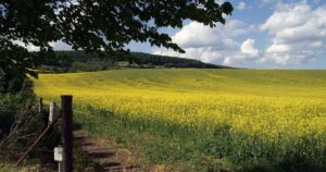 Cómo hacer la transición hacia una "agricultura de paisajes"
