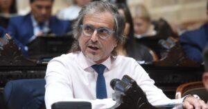 “El que pretende carrera política fuera del plan de Milei es un desagradecido y un imbécil”, el contundente mensaje de Bertie Benegas Lynch que agita la interna libertaria