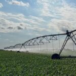 Incentivos a las inversiones agrícolas en la reforma laboral.