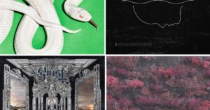 un año con muchas emociones y nada aburrido