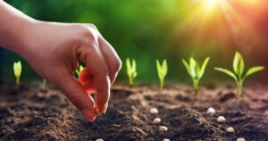 Bonos de carbono, otra industria sin humo que comienza a traer dólares