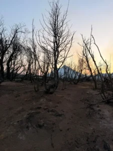 Cholila: familias rurales registraron grandes pérdidas por el dramático incendio 