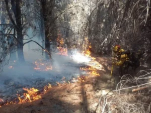 El Gobierno Nacional otorgó $ 120.000 millones en subsidios a bomberos voluntarios