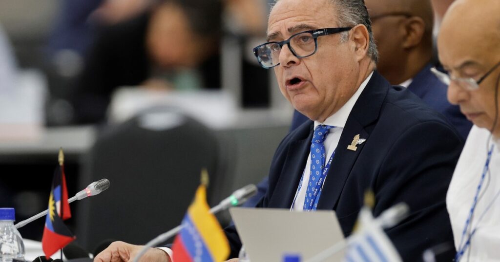 Fuerte pedido del Gobierno a la OEA por la situación del gendarme argentino secuestrado por el régimen de Maduro