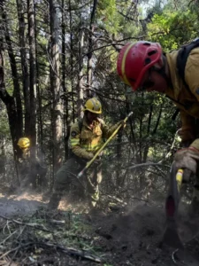 Ingresó en el Senado la Emergencia Ígnea y saldría aprobada en extraordinarias
