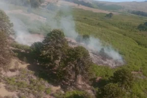 Neuquén: alertan por nuevos focos de incendios forestales en Valle Magdalena