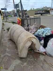 Alarma por basurales clandestinos y presencia de roedores en un barrio de la zona sur
