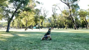 Therians, el fenómeno que está dando que hablar en Argentina