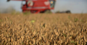 el agro argentino paga hasta 70% de su renta al Estado
