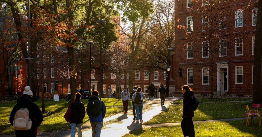 por qué Harvard advierte que cuanto más se usa, más cansancio mental genera