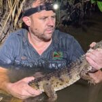 Utilice este título Capturaron a un cocodrilo en un arroyo, a 2.000 km de su hábitat y cree en base a ese titulo original un titulo nuevo, preciso, comprensible y que no pierda relacion con el titulo original. Necesito que me devuelvas solo y nada mas que el titulo nuevo.