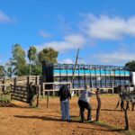 Utilice este título tras dos meses de incertidumbre y decenas de animales muertos de hambre, habilitaron el traslado de más 180 cabezas de ganado robado y cree en base a ese titulo original un titulo nuevo, preciso, comprensible y que no pierda relacion con el titulo original. Necesito que me devuelvas solo y nada mas que el titulo nuevo.