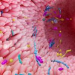 Utilice este título hallan miles de nuevas especies en el intestino de varios herbívoros y cree en base a ese titulo original un titulo nuevo, preciso, comprensible y que no pierda relacion con el titulo original. Necesito que me devuelvas solo y nada mas que el titulo nuevo.