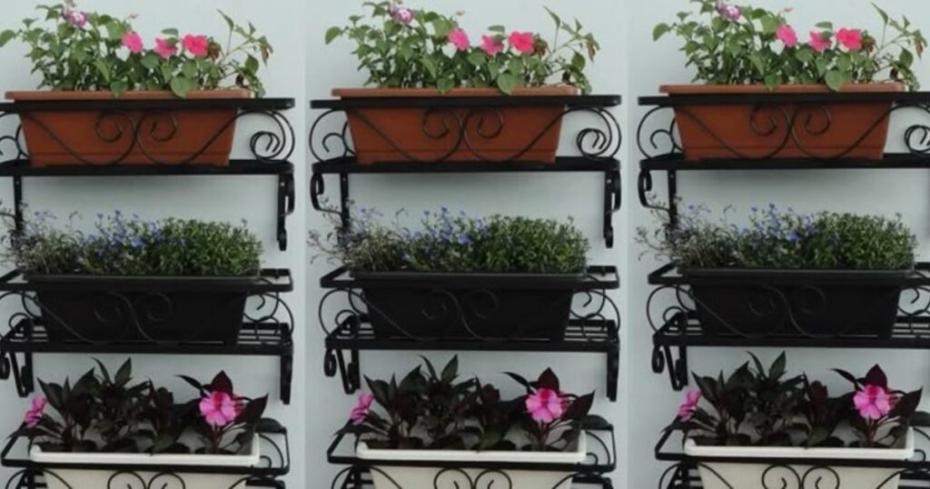 la alternativa a las macetas de terracota