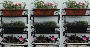 la alternativa a las macetas de terracota