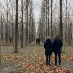 Utilice este título un bosque de fresnos acompaña el rito de la despedida y cree en base a ese titulo original un titulo nuevo, preciso, comprensible y que no pierda relacion con el titulo original. Necesito que me devuelvas solo y nada mas que el titulo nuevo.