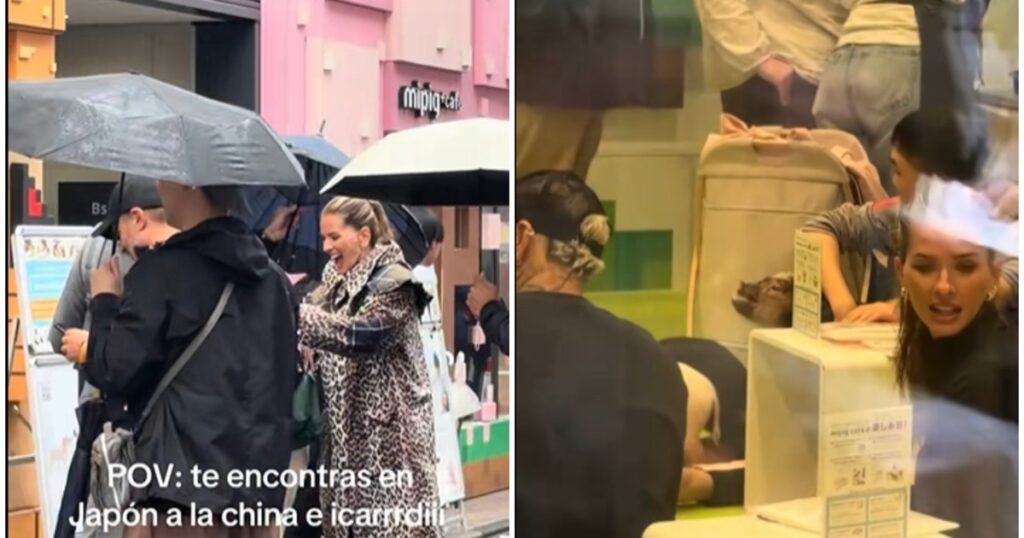 La China Suárez y Mauro Icardi visitaron un insólito café de mini cerdos en Japón: el video del momento