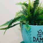 Utilice este título Las 5 plantas para colocar en la entrada de casa y que atraen la riqueza y cree en base a ese titulo original un titulo nuevo, preciso, comprensible y que no pierda relacion con el titulo original. Necesito que me devuelvas solo y nada mas que el titulo nuevo.