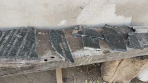 Vandalizaron la placa de Julio Mussi, comodorense desaparecido en la última dictadura militar