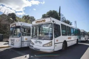 Biss espera resolver el conflicto con el transporte urbano de pasajeros