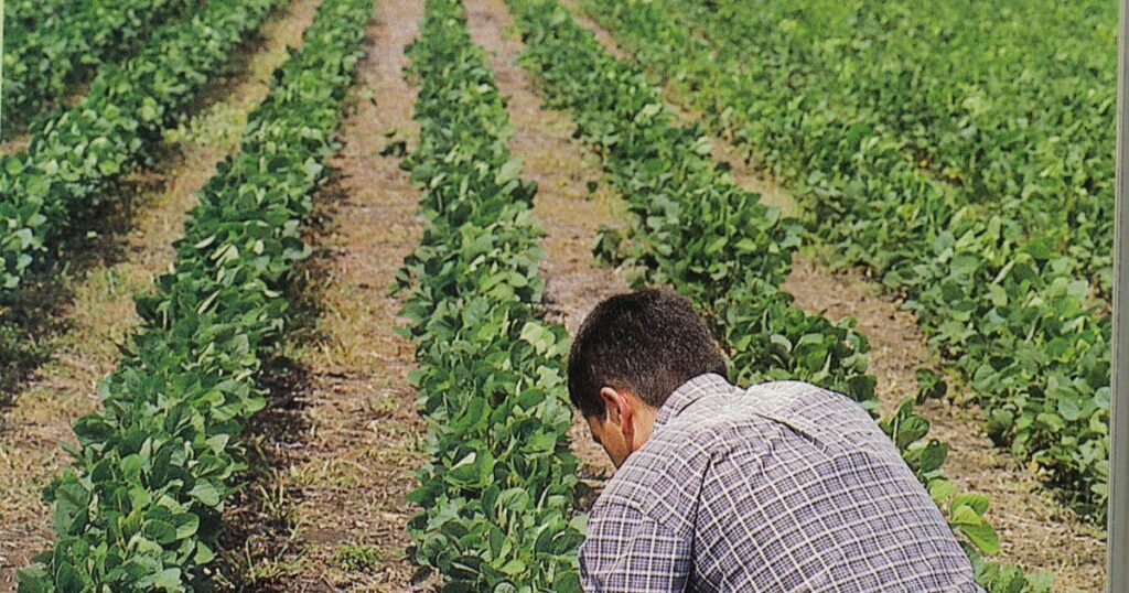 menos prejuicios, más innovación y una visión estratégica del desarrollo