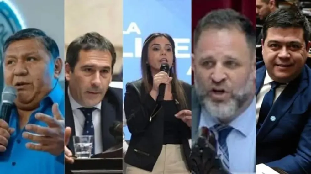 Así votaron los diputados de Chubut la reforma del Banco Central