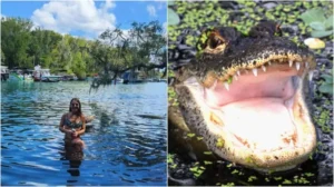 Florida: Los escalofriantes datos de la autopsia de la mujer que fue atacada por un caimán