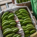 Utilice este título  La banana subió un 55% por el cierre de más de un mes del Paso del Cristo Redentor y cree en base a ese titulo original un titulo nuevo, preciso, comprensible y que no pierda relacion con el titulo original. Necesito que me devuelvas solo y nada mas que el titulo nuevo.