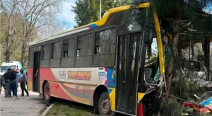Un colectivo chocó contra un árbol tras impactar con un auto: hubo unos 20 heridos