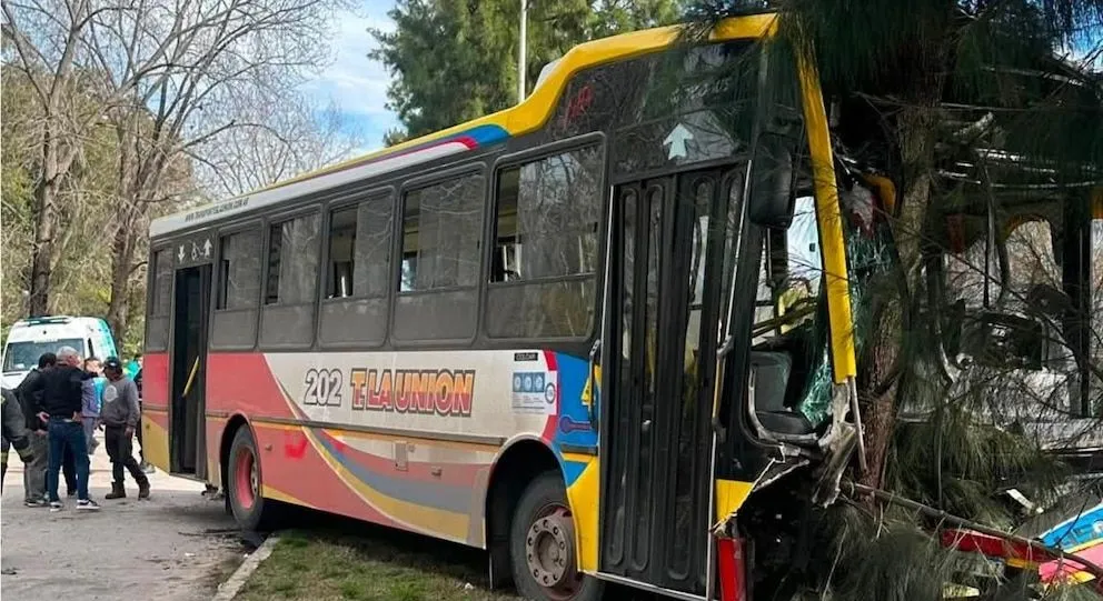 Un colectivo chocó contra un árbol tras impactar con un auto: hubo unos 20 heridos