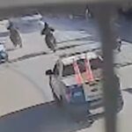 Utilice este título cómo fue la persecución de película, con tiros y choques, de la policía de Neuquén para atrapar al conductor de una camioneta y cree en base a ese titulo original un titulo nuevo, preciso, comprensible y que no pierda relacion con el titulo original. Necesito que me devuelvas solo y nada mas que el titulo nuevo.