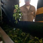 Utilice este título las exportaciones pegaron un salto en junio y el primer semestre cerró con un aumento del 6% y cree en base a ese titulo original un titulo nuevo, preciso, comprensible y que no pierda relacion con el titulo original. Necesito que me devuelvas solo y nada mas que el titulo nuevo.