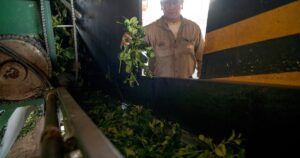 las exportaciones pegaron un salto en junio y el primer semestre cerró con un aumento del 6%